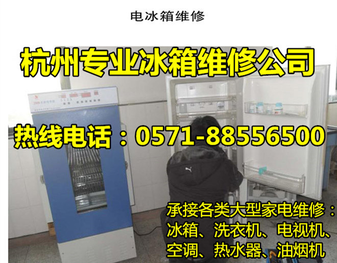 杭州三塘附近冰箱维修公司电话，几十年冰箱维修经验丰富